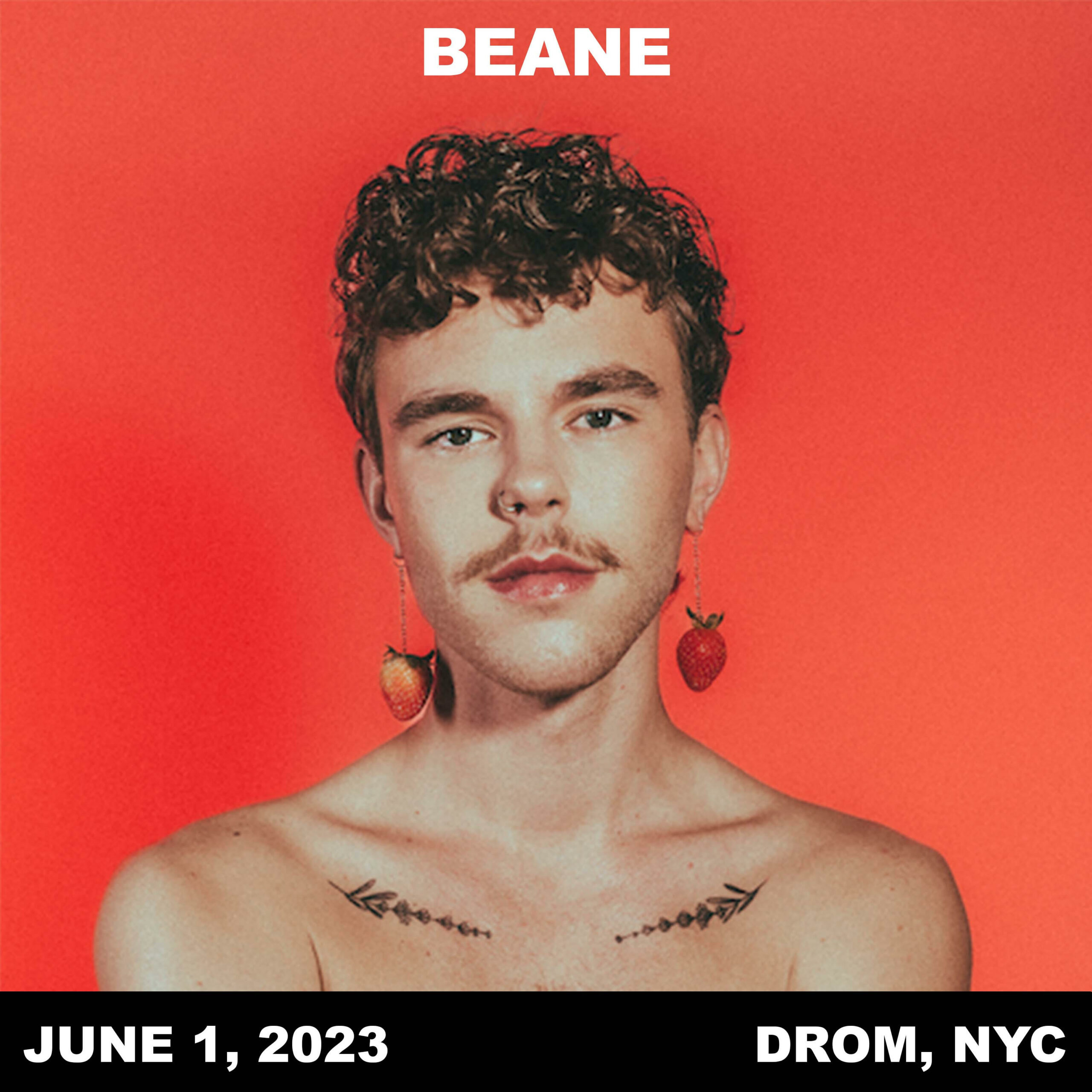Beane presents: The Fruitstand w/ support from Lou Roy