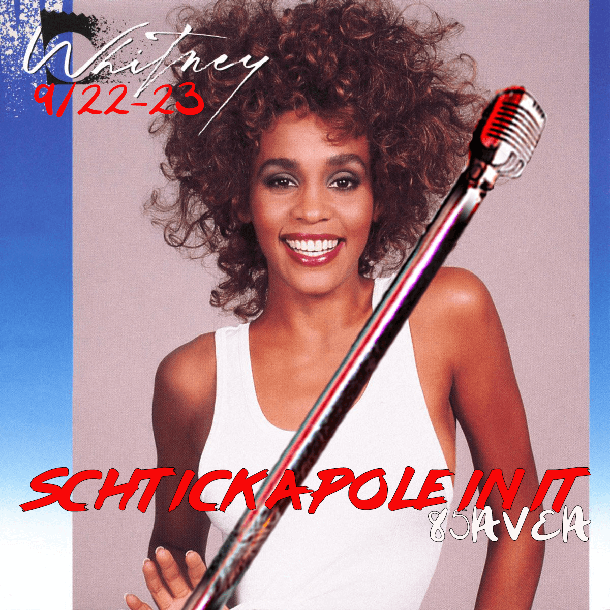 Schtick a Pole In It
